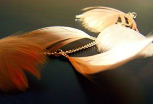 Pictures of feathers - fashion decor inspiration - feathers images.jpg